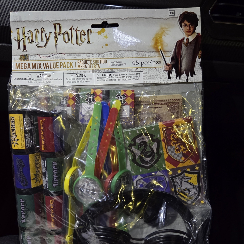 Harry Potter Themed Party Favors and Bags - 48 Pieces